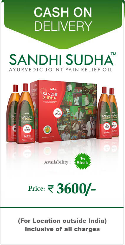 sandhi sudha plus
