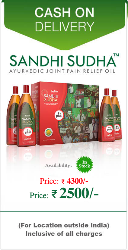 sandhi sudha plus