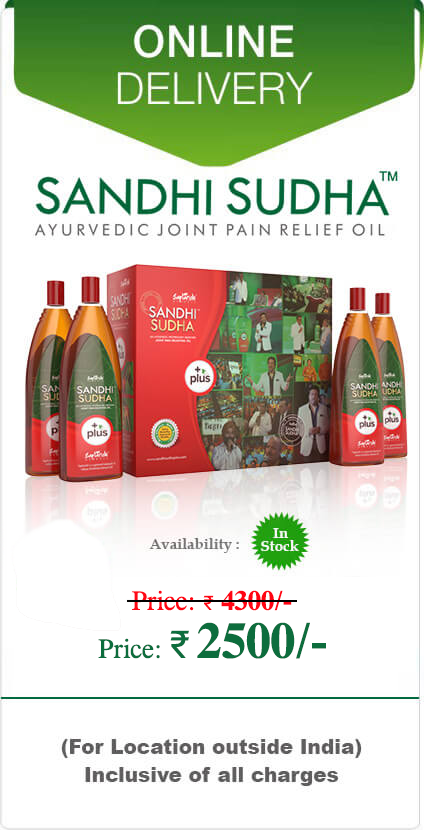 sandhi sudha plus