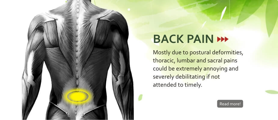 Sandhi Sudha for Back Pain