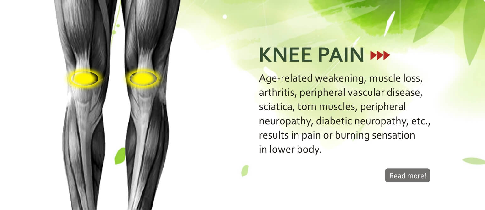Sandhi Sudha for Knee Pain